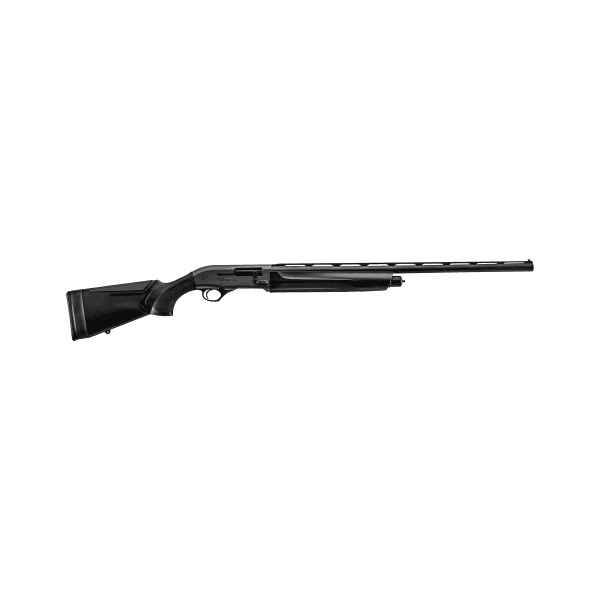 Beretta A300