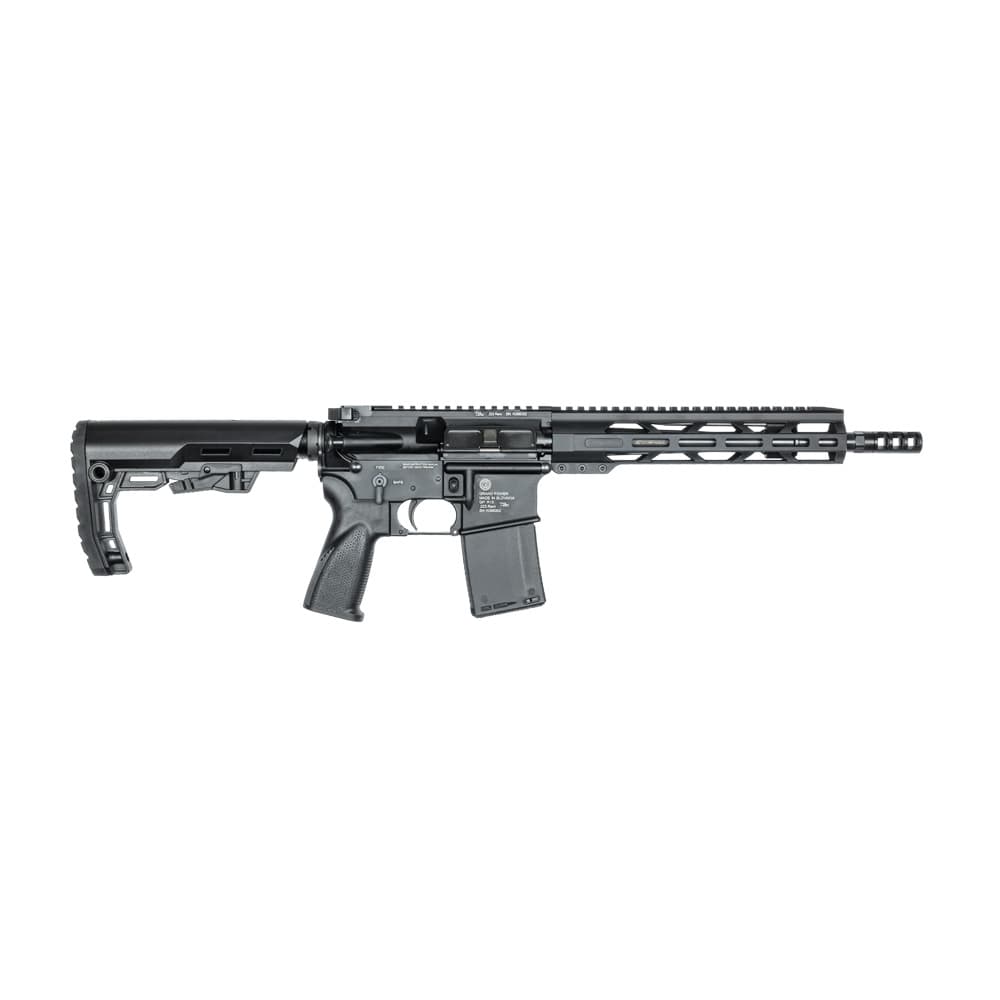 GP AR15